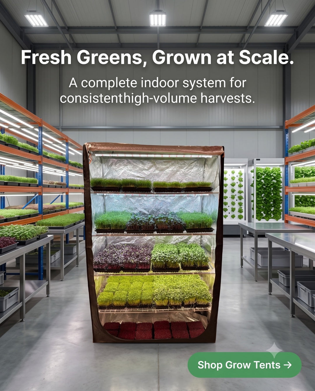 Simple Microgreens, Herbs And Cuttings Growkit