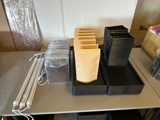 Microgreens Beginner Kit