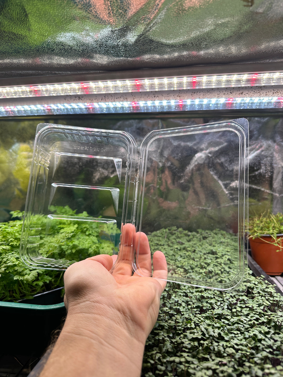 Microgreens Containers for 50 Gram Servings 180 pcs