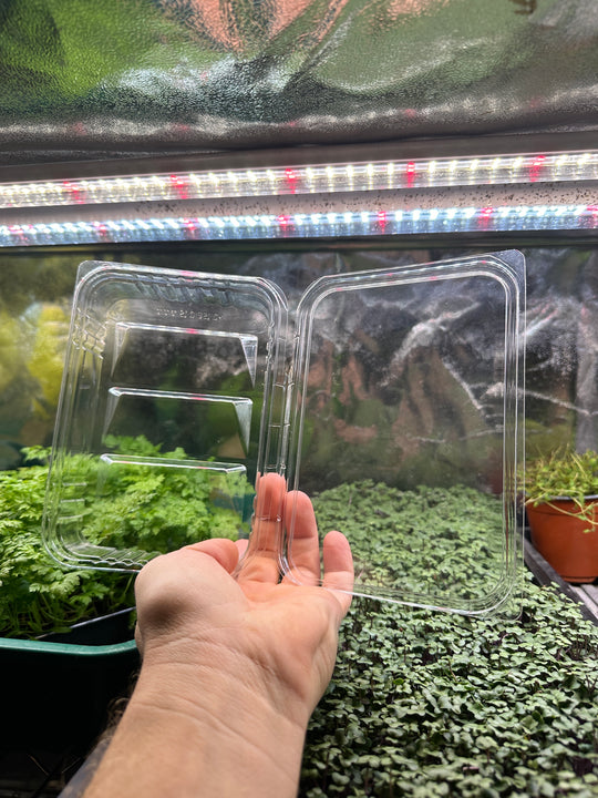 Microgreens Containers for 50 Gram Servings 180 pcs