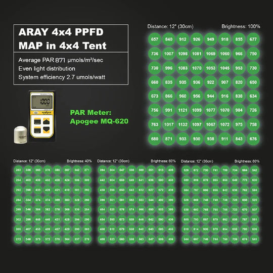 MIGRO ARAY 4X4 | 500W