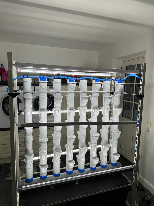 NFT HYDRO TROLLEY