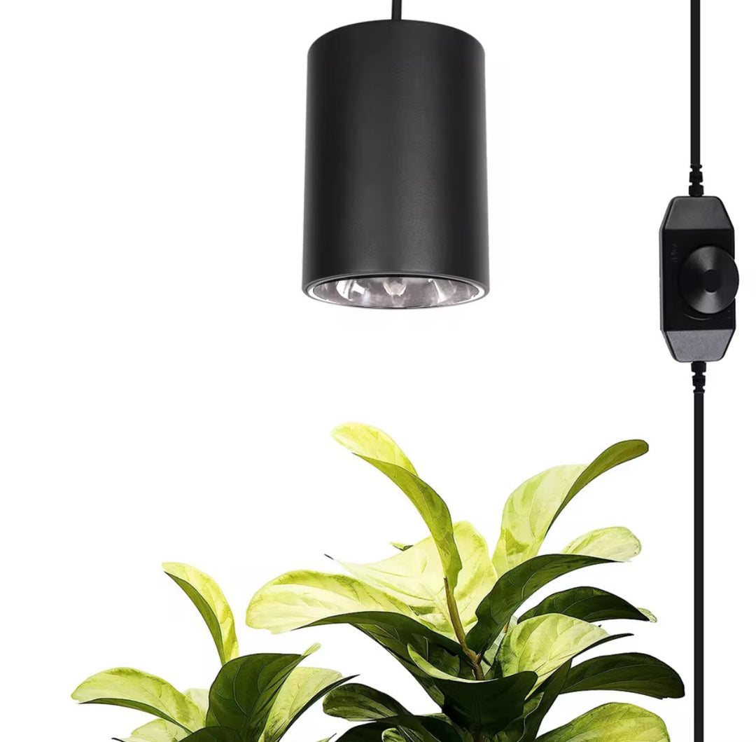 Plantevækstlys spot 30 watt