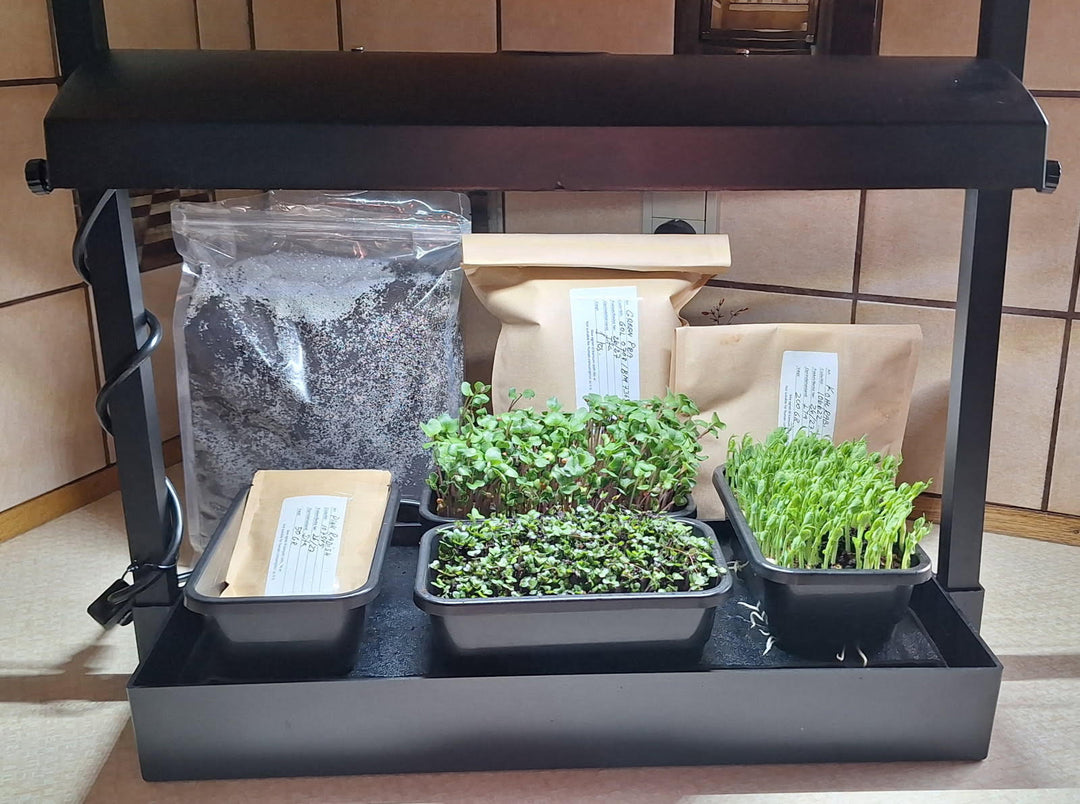 Refill KIT Seeds, Coco And Grow Matt For Small Grow System