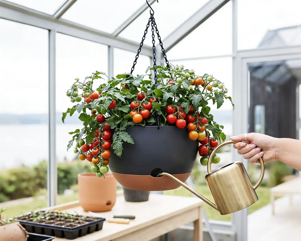 Self-watering hanging pot