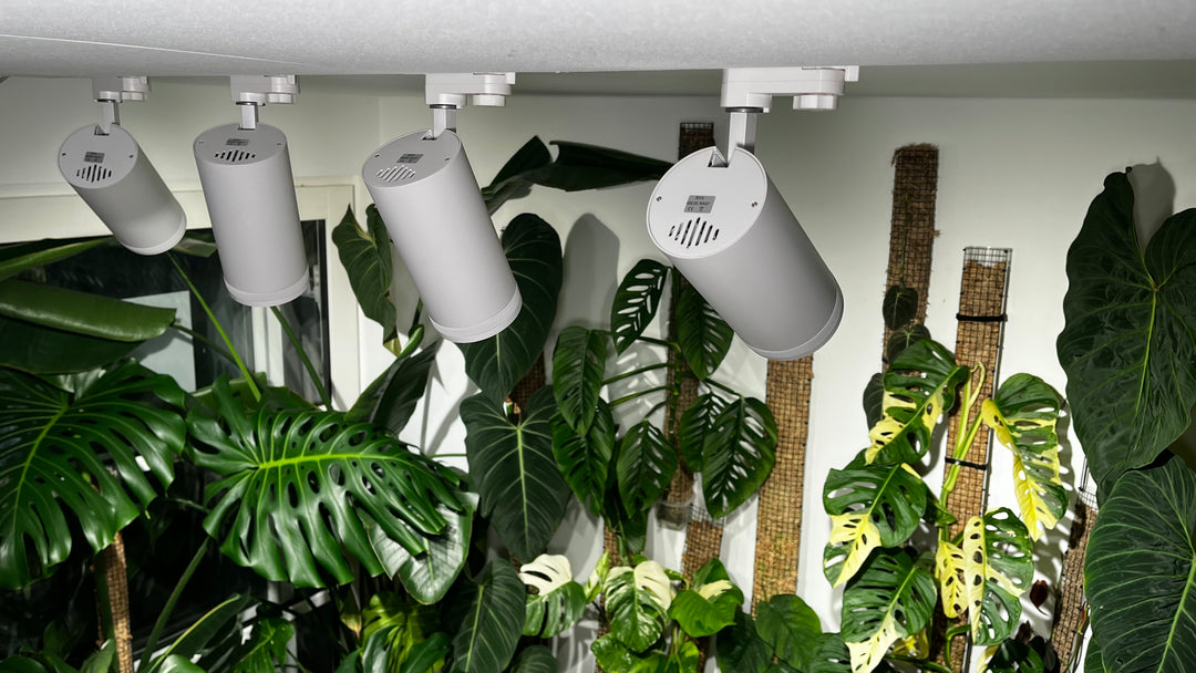LED Growlight Track Light Kit