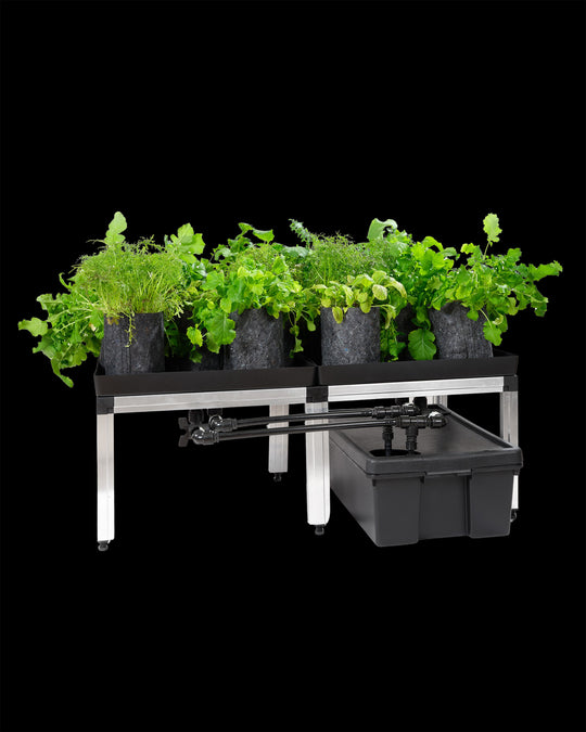 SWC System Growbox 1m2