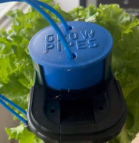 Grow pipes top lid