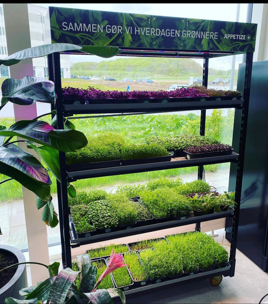 Vertical Farm Danish Trolley + LED Growlight